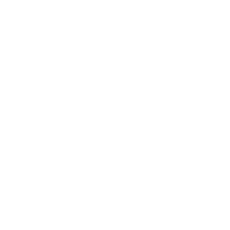 BMW - Logo